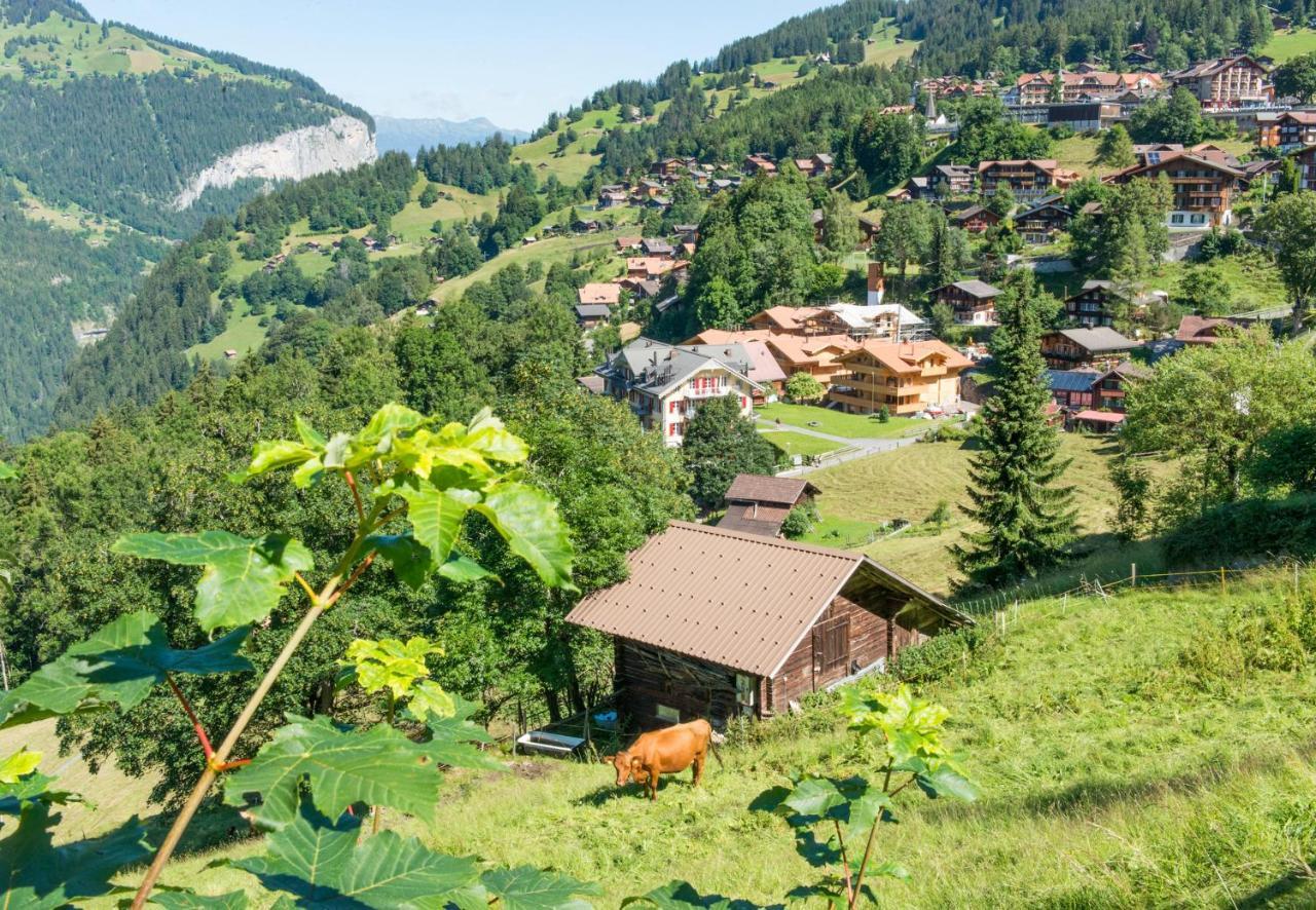 Panoramapark Soleil Chalet C Wengen Esterno foto