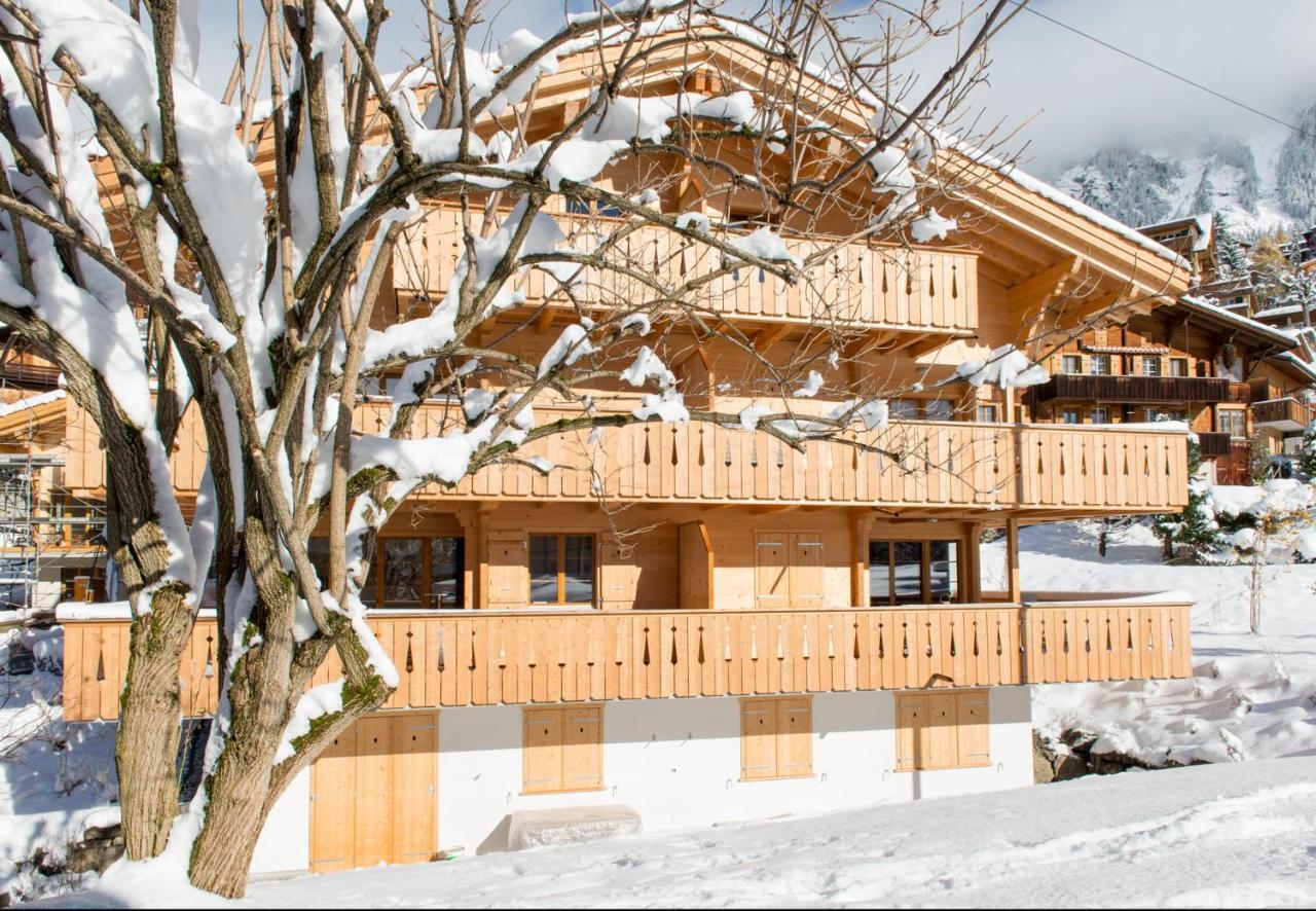 Panoramapark Soleil Chalet C Wengen Esterno foto